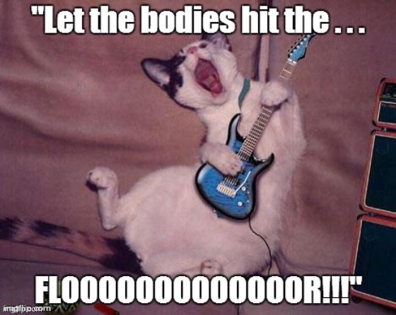 Let the bodies hit the….           Floooooooor!!! | image tagged in cats | made w/ Imgflip meme maker