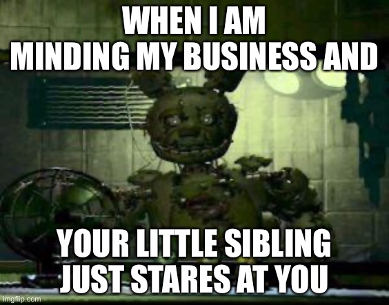 FNAF Springtrap in window | WHEN I AM MINDING MY BUSINESS AND; YOUR LITTLE SIBLING JUST STARES AT YOU | image tagged in fnaf springtrap in window | made w/ Imgflip meme maker