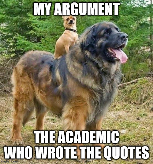 Essay Quotes | MY ARGUMENT; THE ACADEMIC WHO WROTE THE QUOTES | image tagged in academic,quote,argument,carry | made w/ Imgflip meme maker