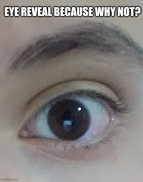 I know I have a bad camera quality | EYE REVEAL BECAUSE WHY NOT? | made w/ Imgflip meme maker