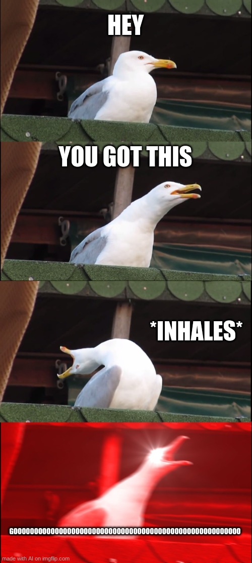 uh | HEY; YOU GOT THIS; *INHALES*; GOOOOOOOOOOOOOOOOOOOOOOOOOOOOOOOOOOOOOOOOOOOOOOOOOOOOOOO | image tagged in memes,inhaling seagull | made w/ Imgflip meme maker