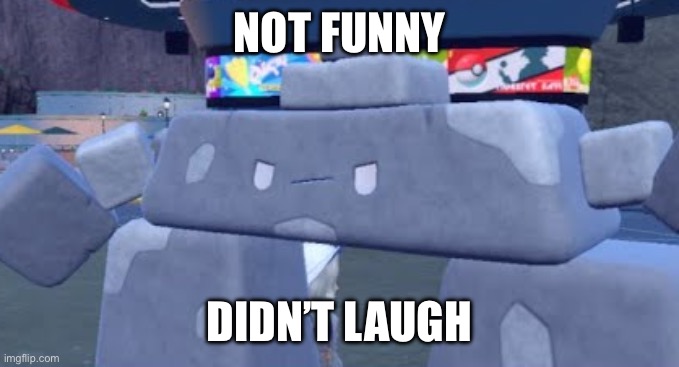 Ok | NOT FUNNY; DIDN’T LAUGH | image tagged in not funny,didnt laugh,stonjourner | made w/ Imgflip meme maker