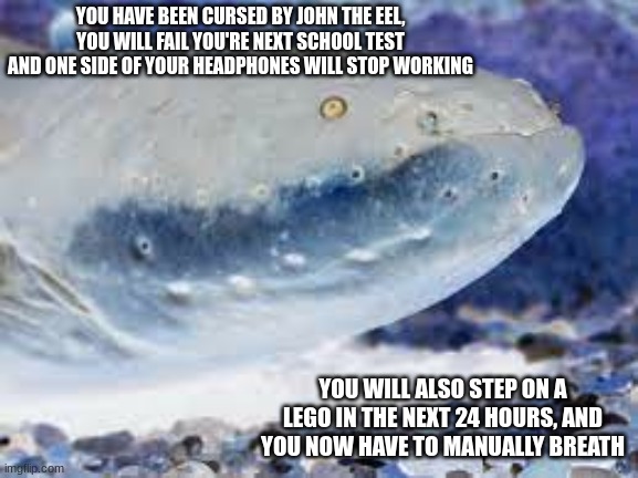 yep | YOU HAVE BEEN CURSED BY JOHN THE EEL, YOU WILL FAIL YOU'RE NEXT SCHOOL TEST AND ONE SIDE OF YOUR HEADPHONES WILL STOP WORKING; YOU WILL ALSO STEP ON A LEGO IN THE NEXT 24 HOURS, AND YOU NOW HAVE TO MANUALLY BREATH | image tagged in john the eel | made w/ Imgflip meme maker
