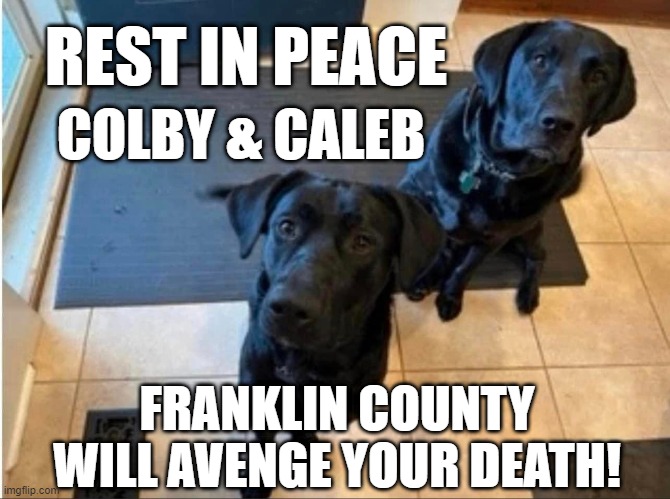 FRANKLIN COUNTY VIRGINIA | REST IN PEACE; COLBY & CALEB; FRANKLIN COUNTY WILL AVENGE YOUR DEATH! | image tagged in dogs | made w/ Imgflip meme maker