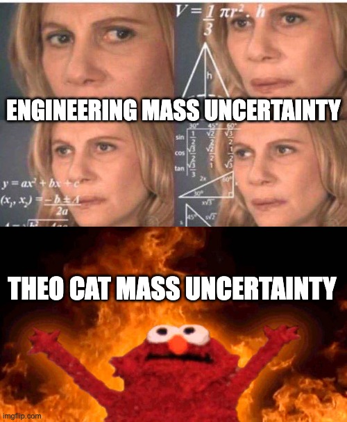 Mass uncertainty | ENGINEERING MASS UNCERTAINTY; THEO CAT MASS UNCERTAINTY | image tagged in math lady/confused lady,elmo fire | made w/ Imgflip meme maker