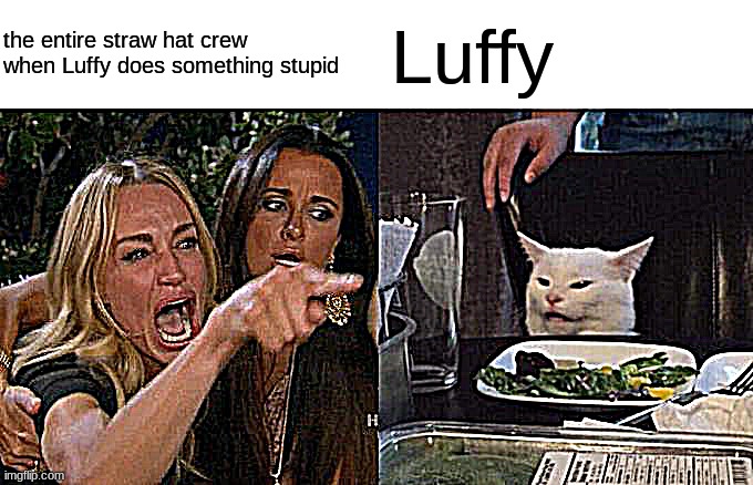Every time | the entire straw hat crew when Luffy does something stupid; Luffy | image tagged in memes,woman yelling at cat | made w/ Imgflip meme maker
