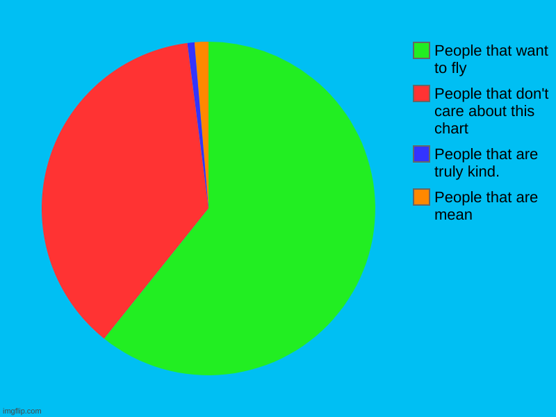 People that are mean, People that are truly kind., People that don't care about this chart, People that want to fly | image tagged in charts,pie charts | made w/ Imgflip chart maker