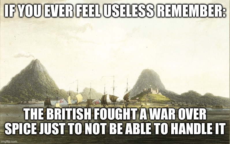 me and my mates do love us some salt yeah? | IF YOU EVER FEEL USELESS REMEMBER:; THE BRITISH FOUGHT A WAR OVER SPICE JUST TO NOT BE ABLE TO HANDLE IT | image tagged in british,spice,invasion,useless | made w/ Imgflip meme maker