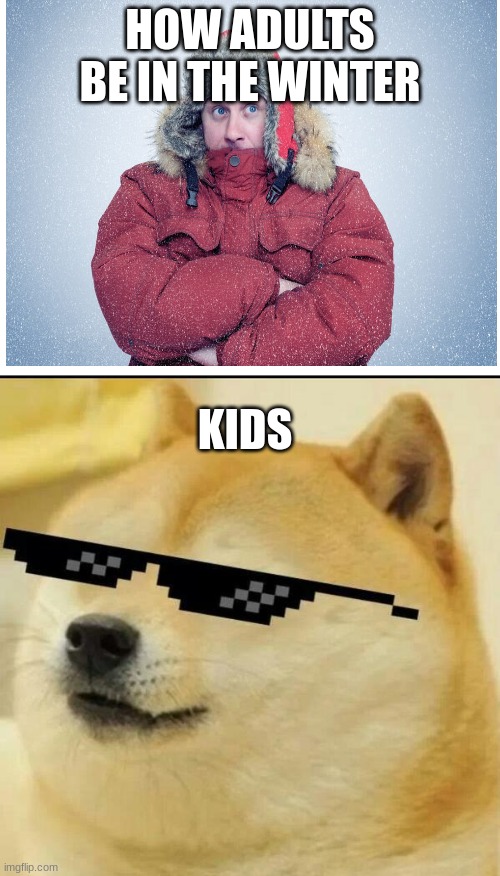 This might not be funny, but its relatable... | HOW ADULTS BE IN THE WINTER; KIDS | image tagged in sunglass doge | made w/ Imgflip meme maker