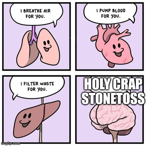 Bad ending | HOLY CRAP STONETOSS | image tagged in organs and brain | made w/ Imgflip meme maker