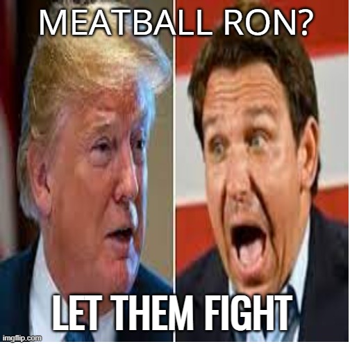 Florida brawl 2024 | MEATBALL RON? LET THEM FIGHT | image tagged in maga,donald trump,florida man,politics,funny | made w/ Imgflip meme maker