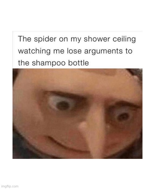 i luv spuders | image tagged in spider,funny,memes,cocaine | made w/ Imgflip meme maker