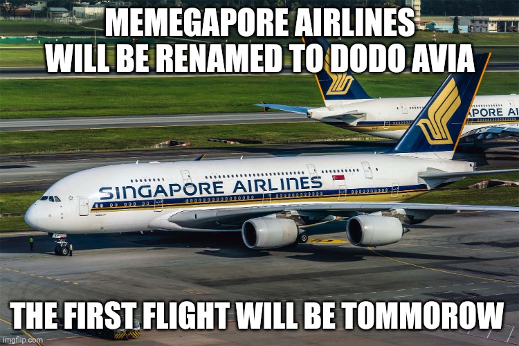 Singapore Airlines plane | MEMEGAPORE AIRLINES WILL BE RENAMED TO DODO AVIA; THE FIRST FLIGHT WILL BE TOMMOROW | image tagged in singapore airlines plane | made w/ Imgflip meme maker