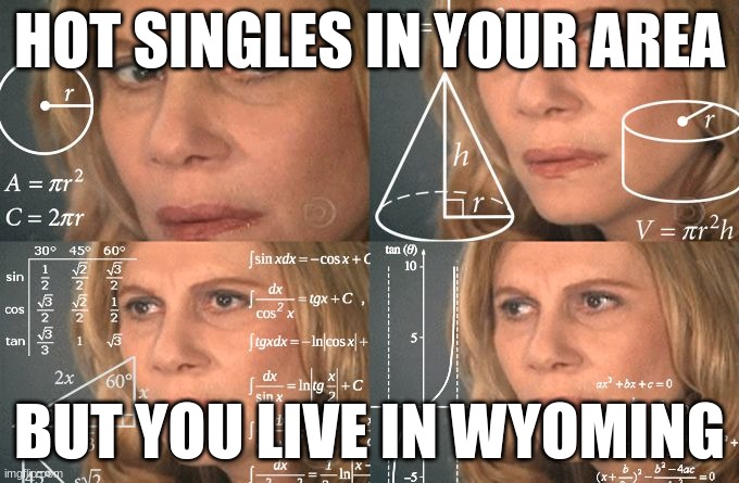Nobody lives in wyoming | HOT SINGLES IN YOUR AREA; BUT YOU LIVE IN WYOMING | image tagged in calculating meme,united states,funny,single,lol | made w/ Imgflip meme maker