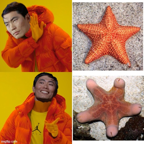 Are you a starfish, or are you happy to see me? | image tagged in sulu hotline bling,starfish | made w/ Imgflip meme maker