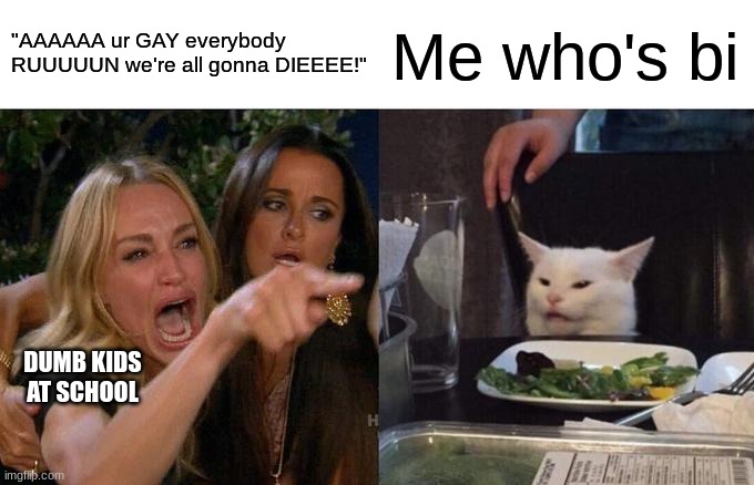 Woman Yelling At Cat Meme | "AAAAAA ur GAY everybody RUUUUUN we're all gonna DIEEEE!"; Me who's bi; DUMB KIDS AT SCHOOL | image tagged in memes,woman yelling at cat | made w/ Imgflip meme maker