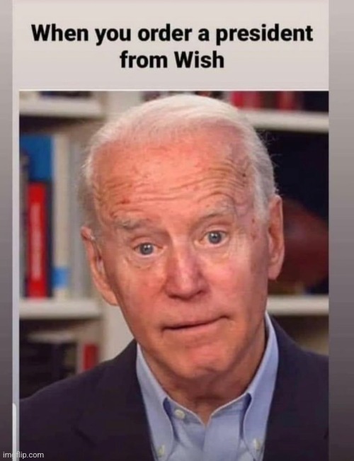 Tell me that's not facts | image tagged in joe biden,funny meme | made w/ Imgflip meme maker