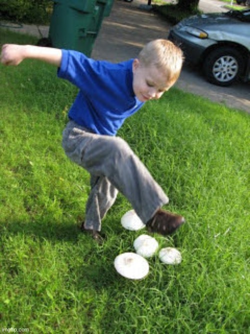 Boy Stomping Mushroom | image tagged in boy stomping mushroom | made w/ Imgflip meme maker