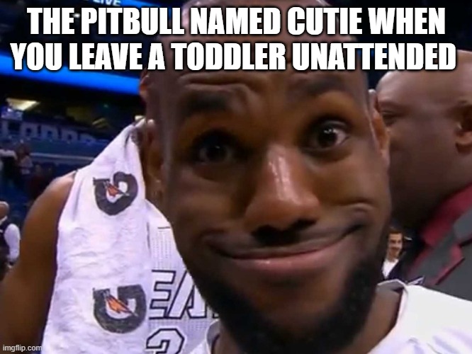 wrd | THE PITBULL NAMED CUTIE WHEN YOU LEAVE A TODDLER UNATTENDED | image tagged in the-nbas-best-video-bombs-of-the-year jpg | made w/ Imgflip meme maker