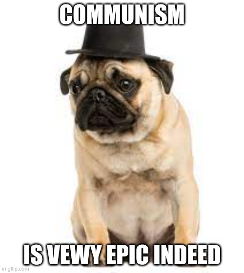 Vewy tue to | COMMUNISM; IS VEWY EPIC INDEED | image tagged in pugs | made w/ Imgflip meme maker