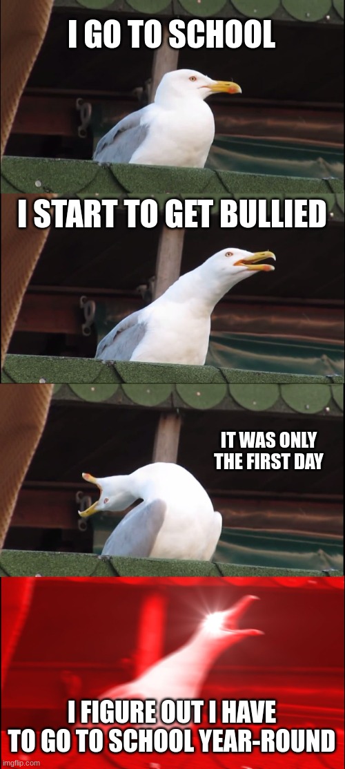 School | I GO TO SCHOOL; I START TO GET BULLIED; IT WAS ONLY THE FIRST DAY; I FIGURE OUT I HAVE TO GO TO SCHOOL YEAR-ROUND | image tagged in memes,inhaling seagull | made w/ Imgflip meme maker