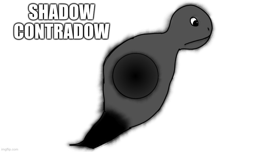 Shadow starter, Contradow | SHADOW
CONTRADOW | image tagged in ambefoves | made w/ Imgflip meme maker