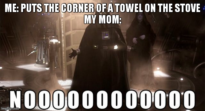 Darth Vader Noooo | ME: PUTS THE CORNER OF A TOWEL ON THE STOVE
MY MOM: | image tagged in darth vader noooo | made w/ Imgflip meme maker