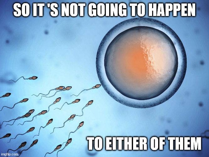 Sperm and Egg Fertilization | SO IT 'S NOT GOING TO HAPPEN TO EITHER OF THEM | image tagged in sperm and egg fertilization | made w/ Imgflip meme maker