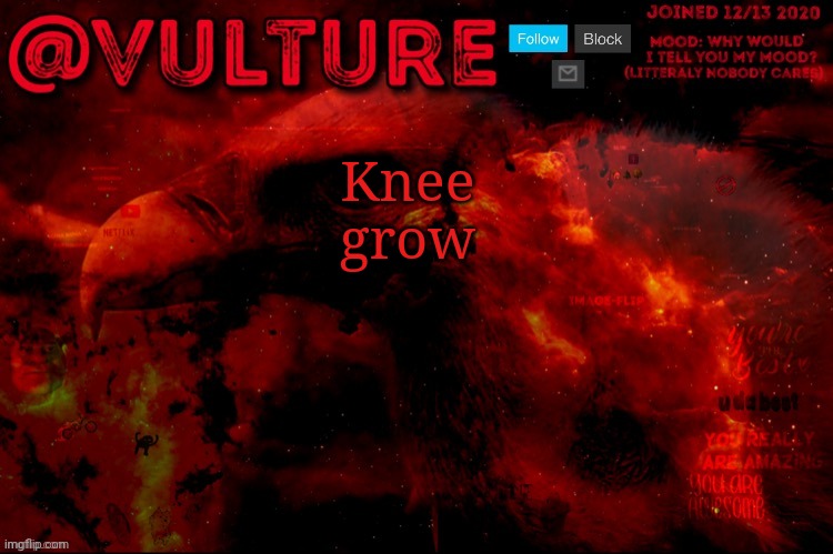 Knee grow | image tagged in vulture s template that he uses when he wants to say something | made w/ Imgflip meme maker