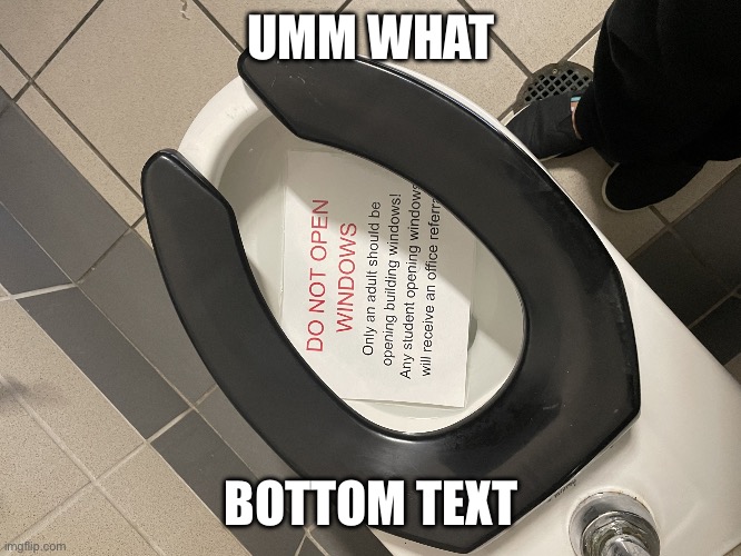 Wha | UMM WHAT; BOTTOM TEXT | image tagged in wha | made w/ Imgflip meme maker