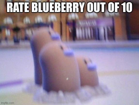 Blueberry my beloved | RATE BLUEBERRY OUT OF 10 | image tagged in blueberry my beloved | made w/ Imgflip meme maker