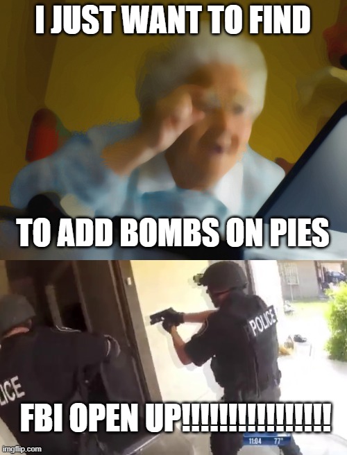 Wat | I JUST WANT TO FIND; TO ADD BOMBS ON PIES; FBI OPEN UP!!!!!!!!!!!!!!!! | image tagged in memes,grandma finds the internet,fbi open up,bomb | made w/ Imgflip meme maker