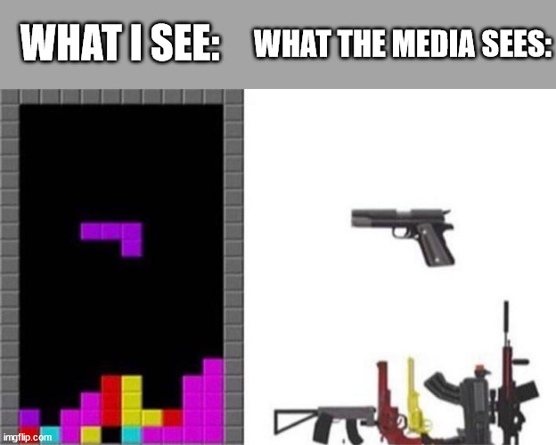 WHAT THE MEDIA SEES:; WHAT I SEE: | image tagged in memes,funny | made w/ Imgflip meme maker