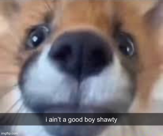 face reveal 13 | i ain’t a good boy shawty | image tagged in bruh,lol,why are you reading this | made w/ Imgflip meme maker