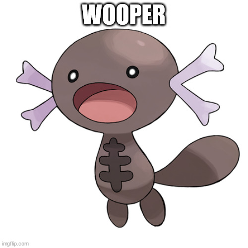 Also Wooper | WOOPER | image tagged in also wooper | made w/ Imgflip meme maker