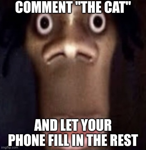 Notification | COMMENT "THE CAT"; AND LET YOUR PHONE FILL IN THE REST | image tagged in quandale dingle | made w/ Imgflip meme maker