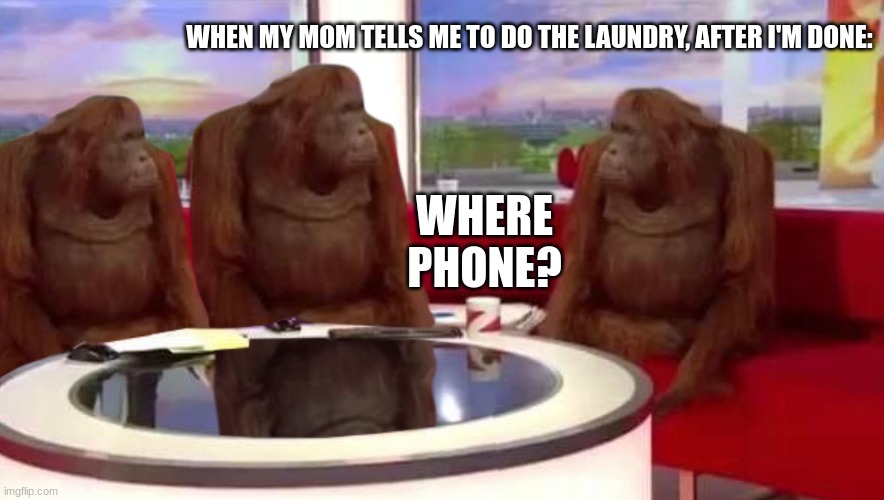 where monkey | WHEN MY MOM TELLS ME TO DO THE LAUNDRY, AFTER I'M DONE:; WHERE PHONE? | image tagged in where monkey | made w/ Imgflip meme maker