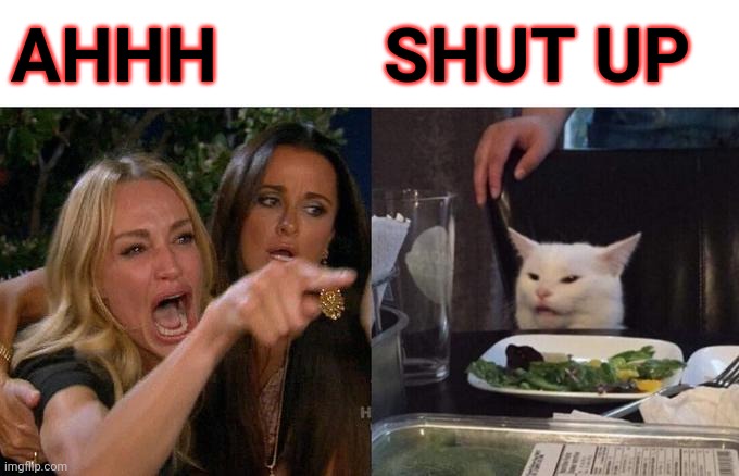 Woman Yelling At Cat Meme | AHHH; SHUT UP | image tagged in memes,woman yelling at cat | made w/ Imgflip meme maker