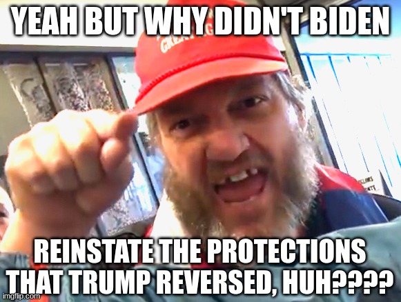 angry trumper | YEAH BUT WHY DIDN'T BIDEN REINSTATE THE PROTECTIONS THAT TRUMP REVERSED, HUH???? | image tagged in angry trumper | made w/ Imgflip meme maker