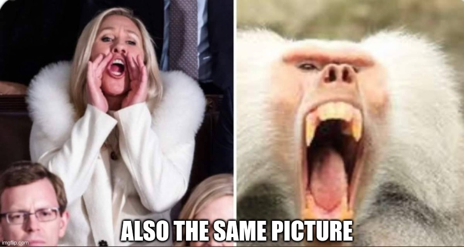 ALSO THE SAME PICTURE | made w/ Imgflip meme maker