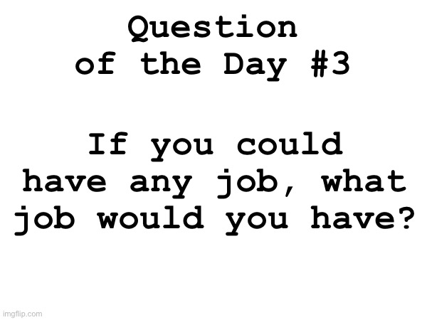 Daily question #3 | Question of the Day #3; If you could have any job, what job would you have? | made w/ Imgflip meme maker