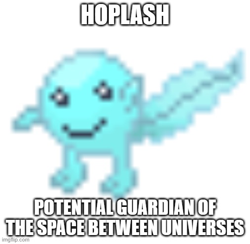 My second post here. | HOPLASH; POTENTIAL GUARDIAN OF THE SPACE BETWEEN UNIVERSES | image tagged in hoplash | made w/ Imgflip meme maker