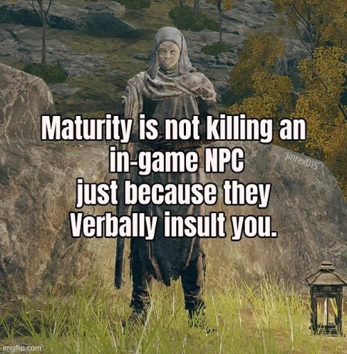 Words of a wise man | image tagged in gaming,video games,npc,wise | made w/ Imgflip meme maker