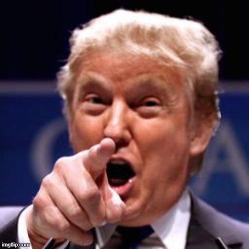 Trump pointing  | image tagged in trump pointing | made w/ Imgflip meme maker