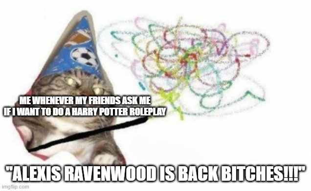 My OCs be like | ME WHENEVER MY FRIENDS ASK ME IF I WANT TO DO A HARRY POTTER ROLEPLAY; "ALEXIS RAVENWOOD IS BACK BITCHES!!!" | image tagged in woosh cat | made w/ Imgflip meme maker