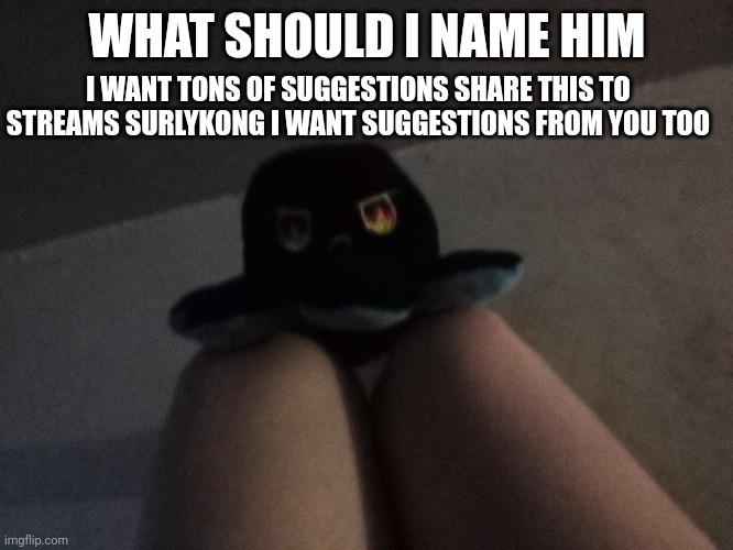 Please help me name him | I WANT TONS OF SUGGESTIONS SHARE THIS TO STREAMS SURLYKONG I WANT SUGGESTIONS FROM YOU TOO; WHAT SHOULD I NAME HIM | image tagged in names | made w/ Imgflip meme maker