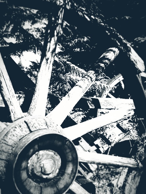 Wagon Wheel Rural Yard Decor with Effects (2017) | image tagged in photography | made w/ Imgflip meme maker