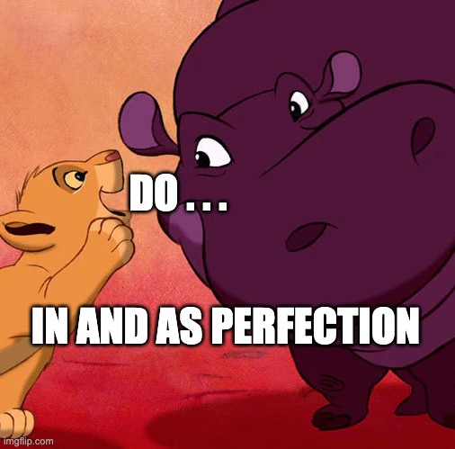 Do...in and as perfection | DO . . . IN AND AS PERFECTION | image tagged in dog | made w/ Imgflip meme maker