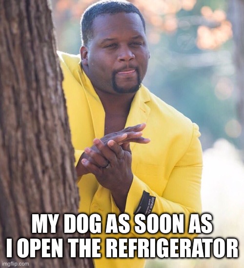 My Dog When I Open The Refrigerator | MY DOG AS SOON AS I OPEN THE REFRIGERATOR | image tagged in guy peeking around tree,dog,refrigerator,hungry,beg for food | made w/ Imgflip meme maker