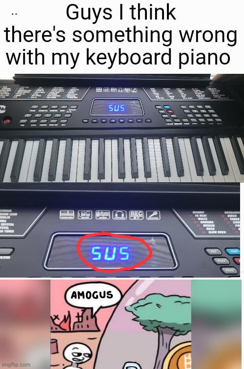 Ok ok guys ik this meme is dead but- | Guys I think there's something wrong with my keyboard piano | image tagged in amogus | made w/ Imgflip meme maker